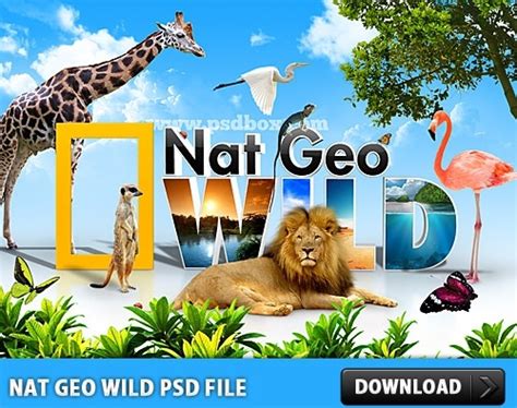 Nat Geo Wild PSD File Psd in editable .psd format free and easy download unlimit id:165181