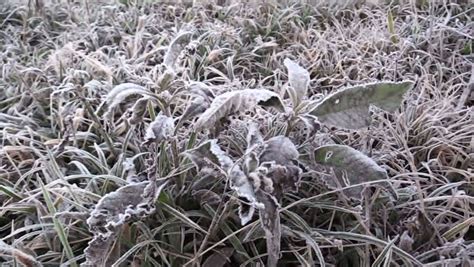 Curitiba E Outras Cidades Do Paran Registram Dia Mais Frio Do Ano