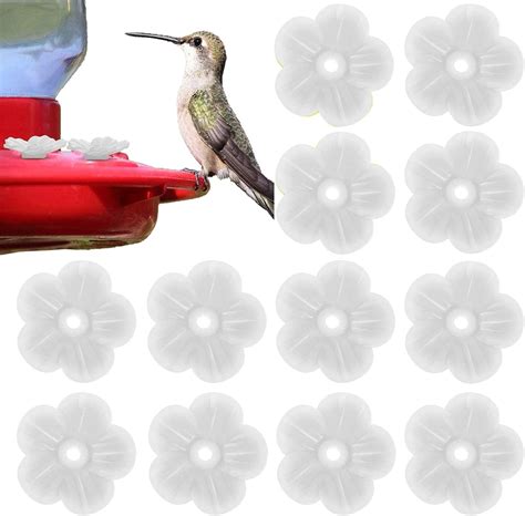 Amazon Pieces Hummingbird Feeders Replacement Flowers Feeding