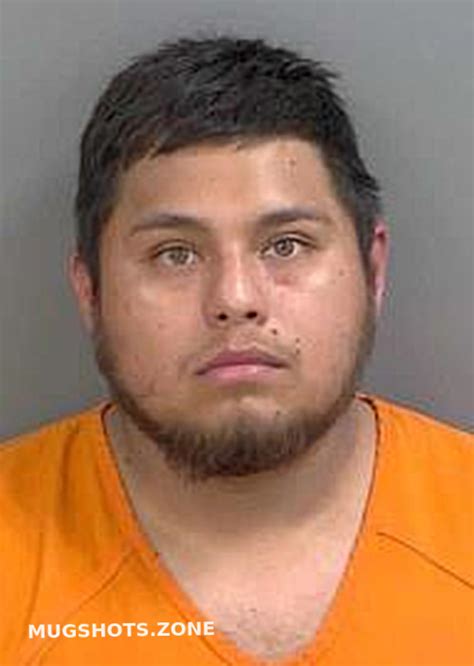 Torresgonzalez Leobardo Collier County Mugshots Zone