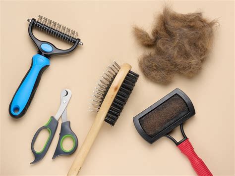 Best Ways To Remove Pet Hair From Home