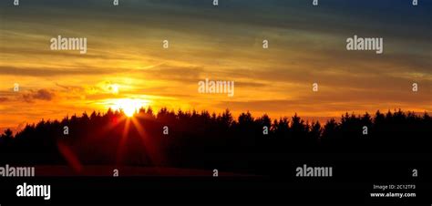 Sunrise over black forest mist Stock Photo - Alamy