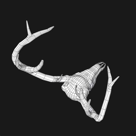 Deer Skull 3d Model 39 3ds Dae Fbx Obj Max Free3d