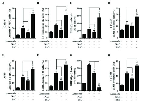 Effects of NAC and BSO on cell MMP Ψm DHE O 2 levels