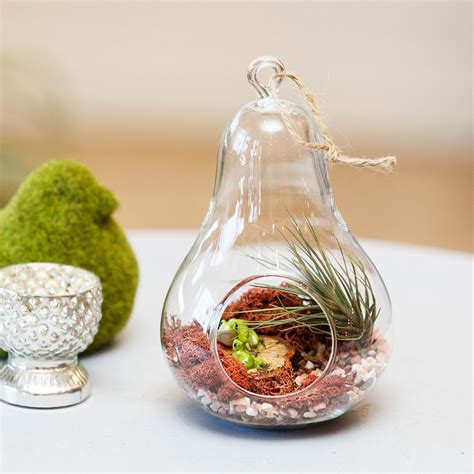 Delightfully Diverse Diy Terrarium Ideas Tiny Green Delights