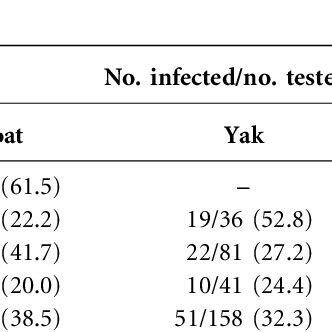 Prevalence Of Anaplasma Phagocytophilum In H Qinghaiensis Ticks