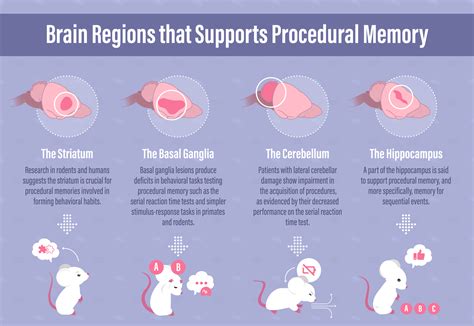 Procedural Memory