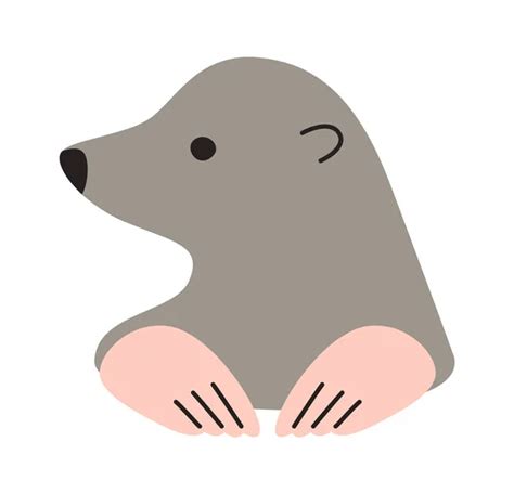 100000 Giant Otter Vector Images Depositphotos