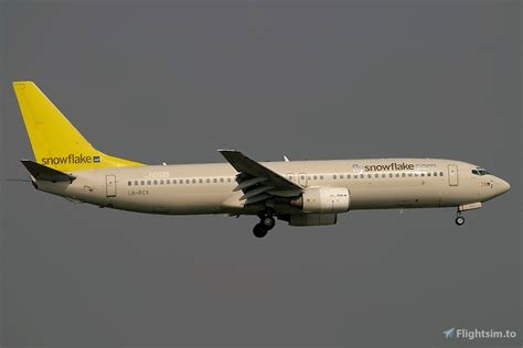 Liveries Requests Fenix A320 Iae Sas Snowflake Flightsimto