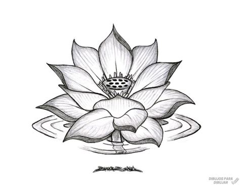 磊 Dibujos De Flor De Loto190lindas Y A Lápiz Flower Drawing Tumblr