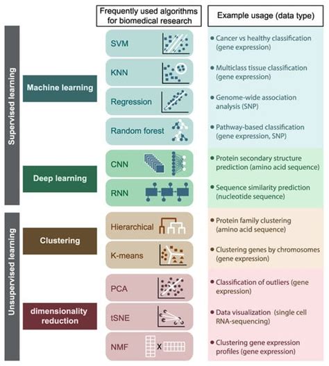 Ijms Free Full Text Incorporating Machine Learning Into Established