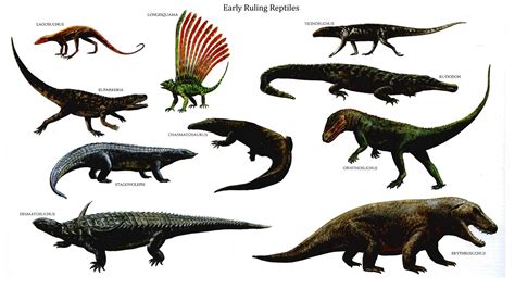 reptiles-ruling-early-reptilian-dinosaurs-wallpaper-background ...