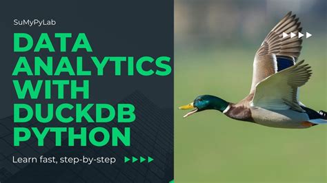 Duckdb Python Data Analytics Duckdb Python Duckdb Olap Python