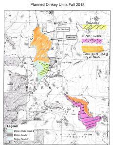 Prescribed Burning Ops Resume On Sierra National Forest | Sierra News ...