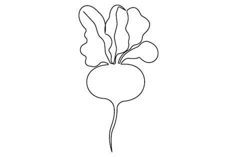 Premium Vector Single One Line Drawing Of Whole Healthy Organic