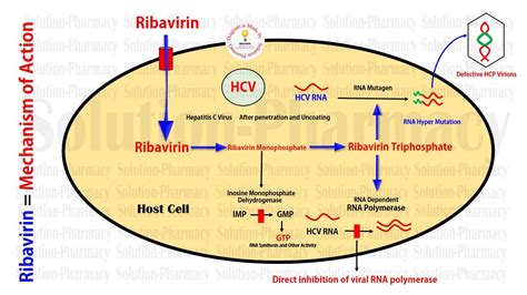 Antiviral Drug | Ribavirin | Anti Hepatitis C Virus Drug | Ribavirin ...