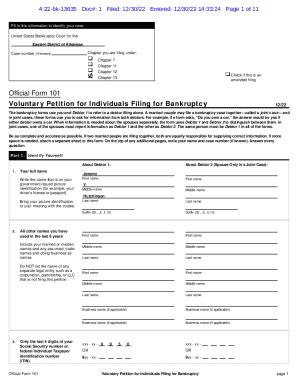 Fillable Online Official Form 101 Voluntary Petition For Individuals