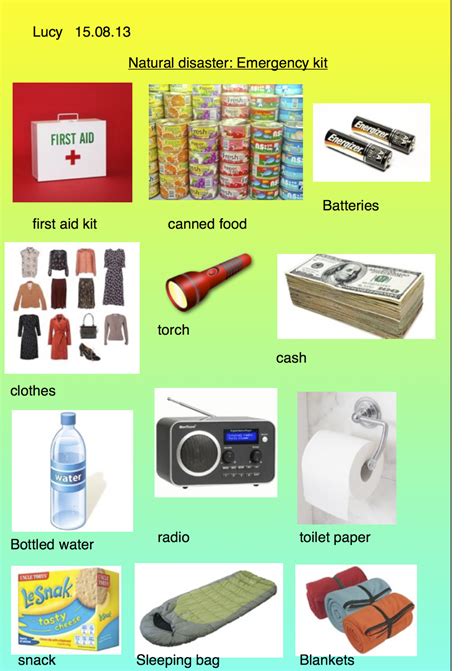 Room 15 PCS: Emergency Survival Kit and Natural Disaster symbols