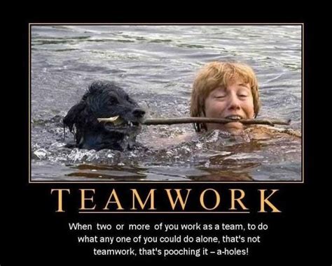 Teamwork Quotes Funny Teamwork Memes For Work - ShortQuotes.cc