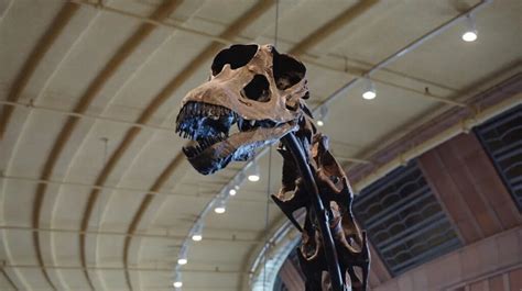 Gsi Scientists Stumble Upon Million Year Old Dinosaur Bones In