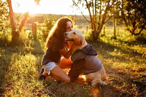 O Melhor Amigo Do Homem - POR QUE O CACHORRO É CONSIDERADO O MELHOR AMIGO DO HOMEM?
