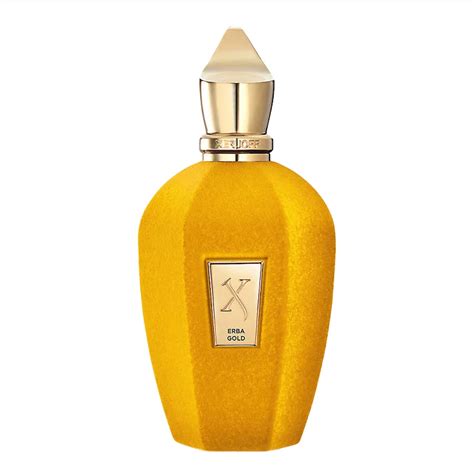Xerjoff Erba Gold EDP 100ML (Unboxed) – Niche Gallery