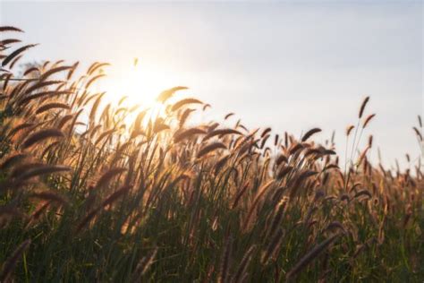15 Important Facts About Greenfield Sites - Tourism Teacher