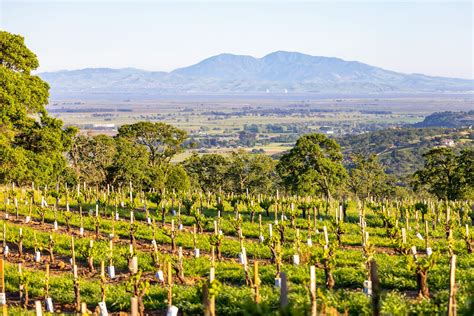 Enterprise Suitability Mapping and Tasmania's wine sector - NESP 2 climate