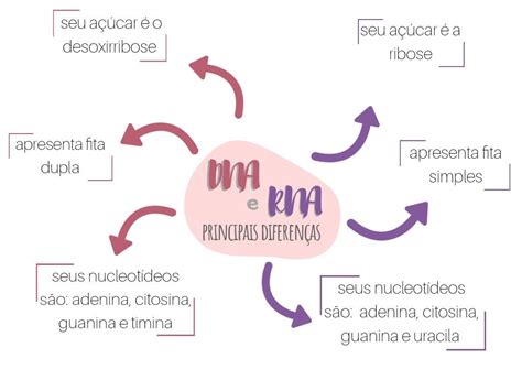 Mapa Mental Dna E Rna Sololearn