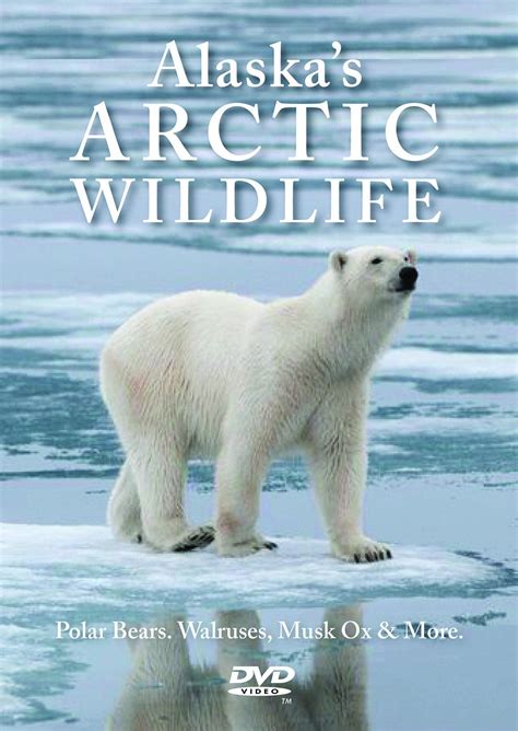 Alaska’s Arctic Wildlife DVD - Frontier Scientists