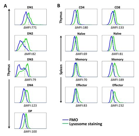 Multicolor Flow Cytometry Based Quantification Of Mitochondria And