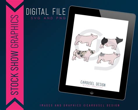 Show Pig Barrow Livestock Graphic Digital File Bundle - Etsy