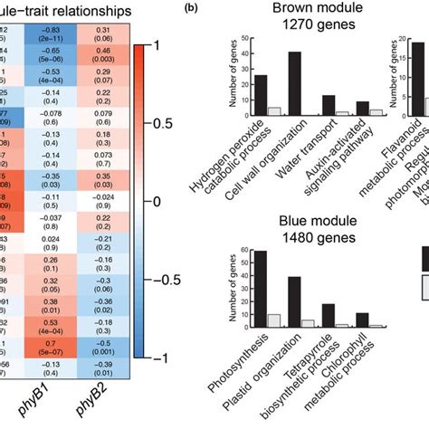 coexpression modules show phyb  phyb differently regulate gene