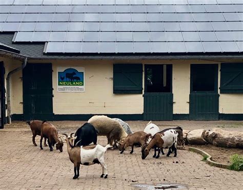 Arche Warder Tierpark