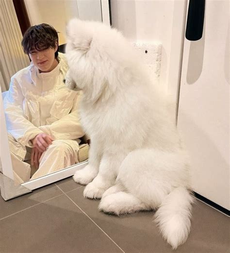 Jeno Samoyed Jettyandmilk On Twitter Nct Foto Kekasih Lelaki Tampan