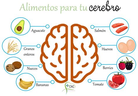 Alimentos Para Tu Cerebro Alimentos Nutricionales Alimentos