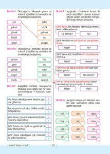 Türkçe Çalışma Kağıtları
