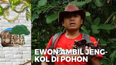 Segar Banget Ewon Minum Air Terjun Langsung Jejak Rimba Eps Youtube