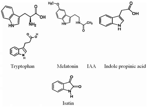 structures  indole related compounds  scientific diagram