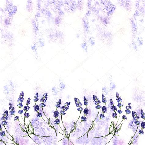 Cute Lavender Watercolor Background Stock Photo By Ann Art