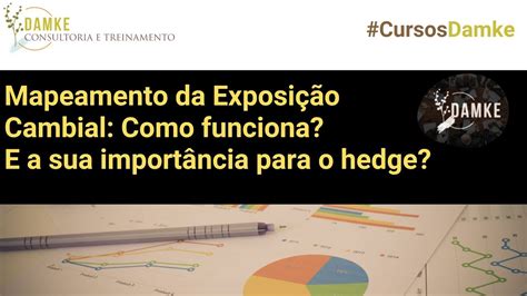 Mapeamento da Exposição Cambial Como funciona E a sua importância