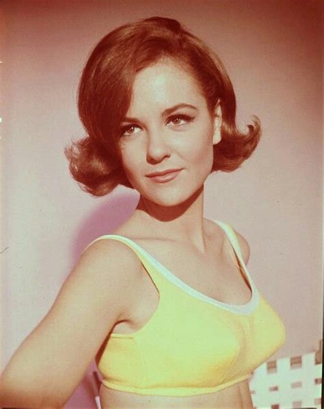 Pin On Shelley Fabares