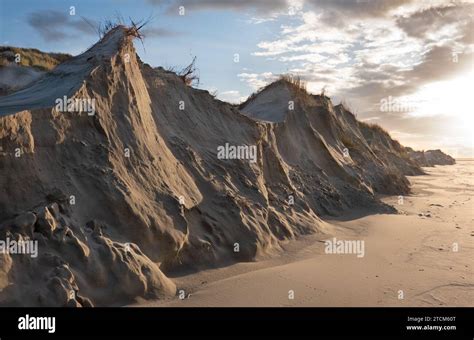 Dune erosion, sand lost from a range of dunes under wave attack, leaving a steep dune scarp ...