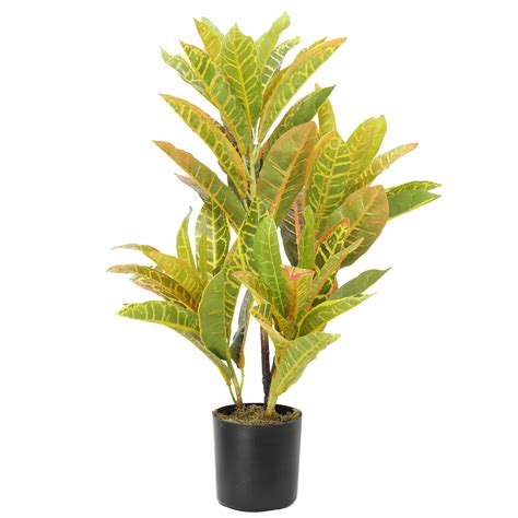 Plante Artificielle Tachet E De Croton Cm