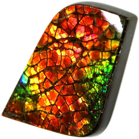 22.80 CTS AMMOLITE STONE FROM CANADA [SAFE137]