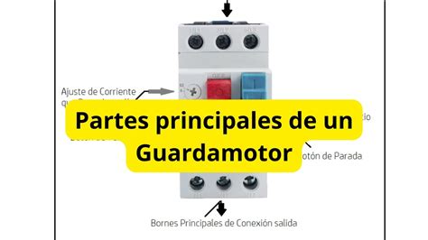 Partes Principales De Un Guardamotor YouTube