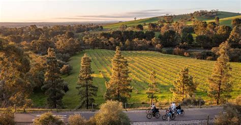 Barossa Valley Gourmet Food And Wine E Bike Tour Getyourguide