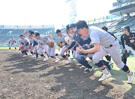 【センバツ】青森山田にob阪神木浪聖也が練習用tシャツ差し入れ「見るのが楽しみ」 センバツ 日刊スポーツ