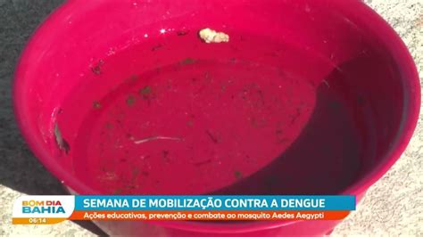 Semana é de mobilização contra a dengue ações de prevenção e