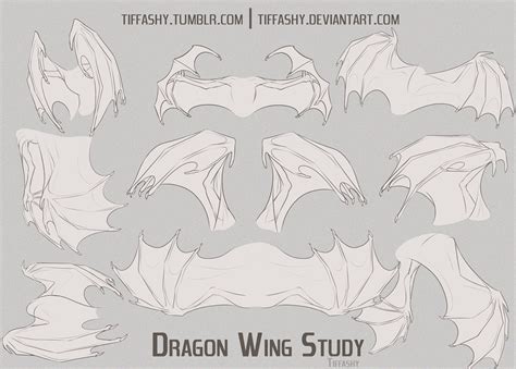 Dragon Wing Studytutorial By Tiffashy On Deviantart Wings Sketch